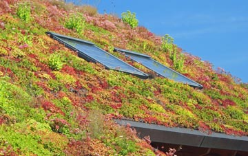 Trevarrack living roof systems