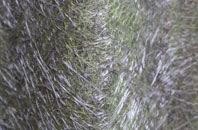 Trevarrack fibreglass roof work